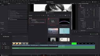 Davinci Resolve Projekt Exportieren