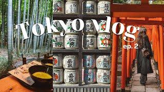 Tokyo vlog | kamakura day trip, teahouse, streetfood, hidden gems, ueno, best spots, autumn in Japan