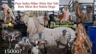 Hyderabadi Goat's Itna Saste Main Koi Nahi Dega Ye Rate 5000 Se Hyderabadi Goat's Dhamaka Offers.