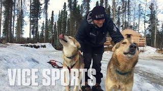 Meet Iditarod-Winning Sled Dogs