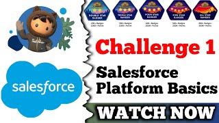 Salesforce Platform Basics | Salesforce | Unlock Business Success with Salesforce Data Platform