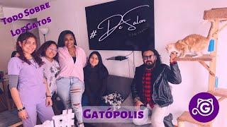 #DeSalon con Francis Ep.4 -  GATÓPOLIS