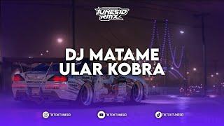 DJ MATAME ULAR KOBRA REMIX BY ARYA RMX X RECKYRMX