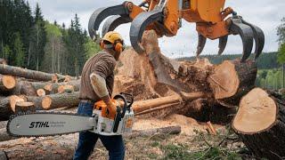 Extreme Dangerous Monster Stump Removal Excavator | Fastest Big Chainsaw Tree Cutting Machines #3