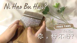 Ni Hao Bu Hao? (你，好不好?) / How Have You Been (Eric Chou) - Kalimba Cover with TABS (Felly & Febby)