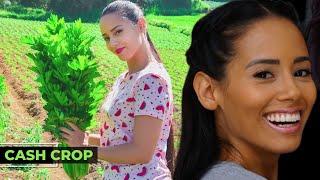 Andreina Deluxe | Rich Off Weed (Intercropping Medical Marijuana With Celery)