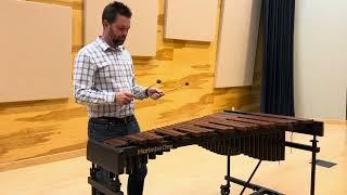 Marimba One Xylophone featuring Mike Downing