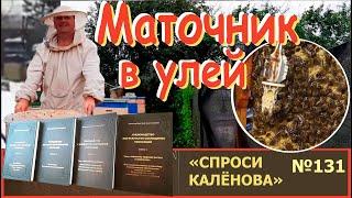 Маточник - Открытый или "Навыходе". Куда, Когда и Как. Экономим время появления матки. СК-131