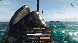 Fishing planet Megga Grouper