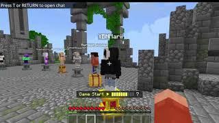 Minecraft, Playing on the Hive