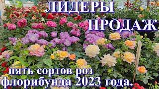 Лидеры продаж роз группы флорибунда в 2023 году.