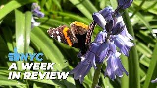 Week in Review | April 28 - May 4