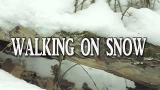 Walking On Snow Sound Effect