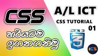 CSS Sinhala Tutorial For A/L ICT Student And Beginners