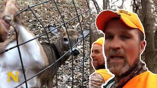 Hunters saves injured deer and receives a surprise