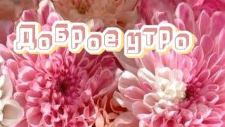 Доброе утро .Желаю сегодня  удачного дня. Очень красивая песня нашей молодости.