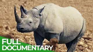 Wild Southern Africa | Episode 1: The Quest for Water | Free Documentary Nature