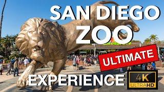 Ultimate San Diego Zoo Experience 2022 4K Full Tour, Tips, Special Experiences w/Music & Narration