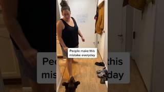 People make this mistake EVERYDAY with their dog 