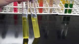 BIO 225 tube media PART 1.mp4