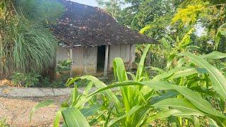 Hidup Di Desa.. Indah Alamnya Damai Warganya, Suasana Di Perkampungan pelosok Jawa tengah