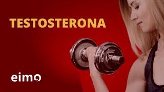 Testosterona