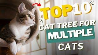 Best Cat Tree For Multiple Cats | Top 10 Picks