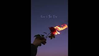 [Free] J.Cole x Teyana Taylor x Smino Type Beat | Rose In The Fire