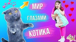 МИР ГЛАЗАМИ КОТИКА | 3 часть