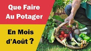 Que Faire au Potager en Mois d'Août ?