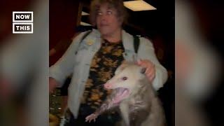 Alaska Woman Grabs Wild Opossum at Bar