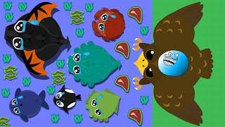 GOLDEN EAGLE FUNNY TROLLS // THE KING OF OCEAN MOPE.IO