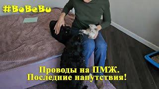 Проводы Шпильки в счастливую жизнь!