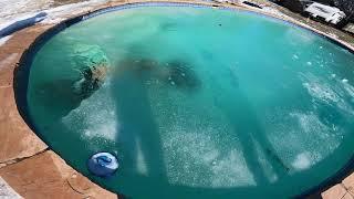 SWIMMING UNDER ICE!! DAD ALMOST FREEZES DOING INSANE POLAR PLUNGE CHALLENGE!!