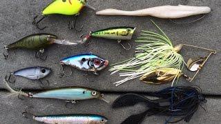 Top 10 Fall Bass Fishing Lures by 1Rod1ReelFishing