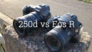 Canon 250d (sl3) vs Canon Eos R - image quality comparison