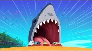 Zig & Sharko  REAL SHARK  The king of the sea  Cartoons for Children