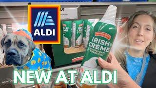 ALDI’s Newest Items Are Here! Don’t Miss These Finds!