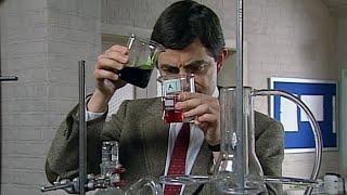 Professor Bean! | Mr Bean Live Action | Funny Clips | Mr Bean