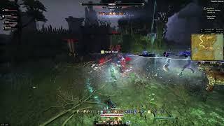 ESO Templar Tank Veteran Shipwright's Regret Pug Run