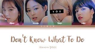 Blackpink || Don't Know What To Do but you are Rosé (Color Coded Lyrics Karaoke)