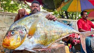 KASIMEDU  SPEED SELVAM | BIG DIAMOND TREVALLY FISH CUTTING VIDEO | IN KASIMEDU | FF CUTTING 