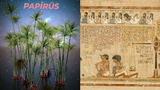 Papirüs Nedir?-What is Papyrus?