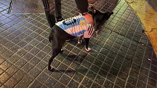 Argentina Wins the Copa America. Walked from the Casa Rosada to Obelisk in Buenos Aires at 3 AM.