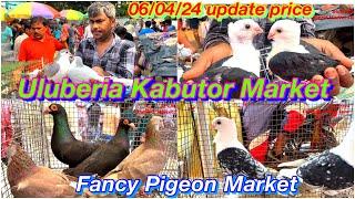 Uluberia Kabutor Market ,Uluberia Pet market 06/04/2024 update price today #cheapestprice #kabootar