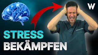 Stress (Distress): Bei diesen 5 Anzeichen läuten meine Alarmglocken! (oft unterschätzt)