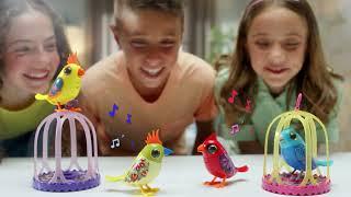 DIGIBIRDS™ Series 2 TV Commercial