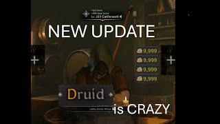 NEW UPDATE, DRUID IS CRAZY - Dark and Darker Early Access