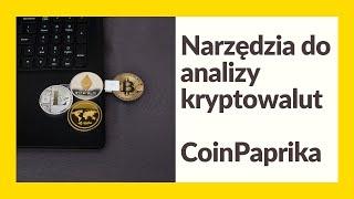 Jak analizować kryptowaluty za pomocą CoinPaprika? ️