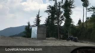 Kufri to Chail and kali ka Tibba Road trip Himachal Pradesh